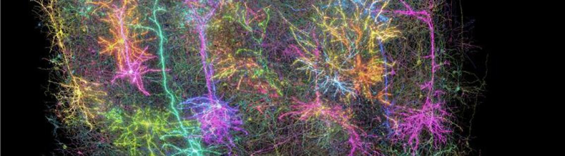 Swirls of many colors with colorful DNA strands running through