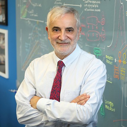 Ferrucci stands with his arms folded, in front of a chalkboard covered in equations.
