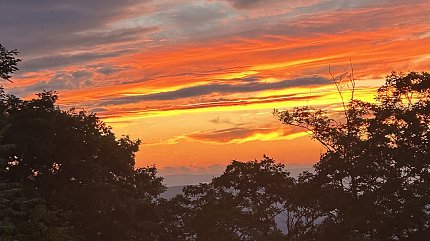 orange and yellow streaks line the sky at sunset, over the treetops 