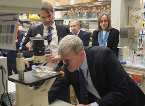 Shern peers into microscope as Plescia, Lowy and Widemann look on in the lab.