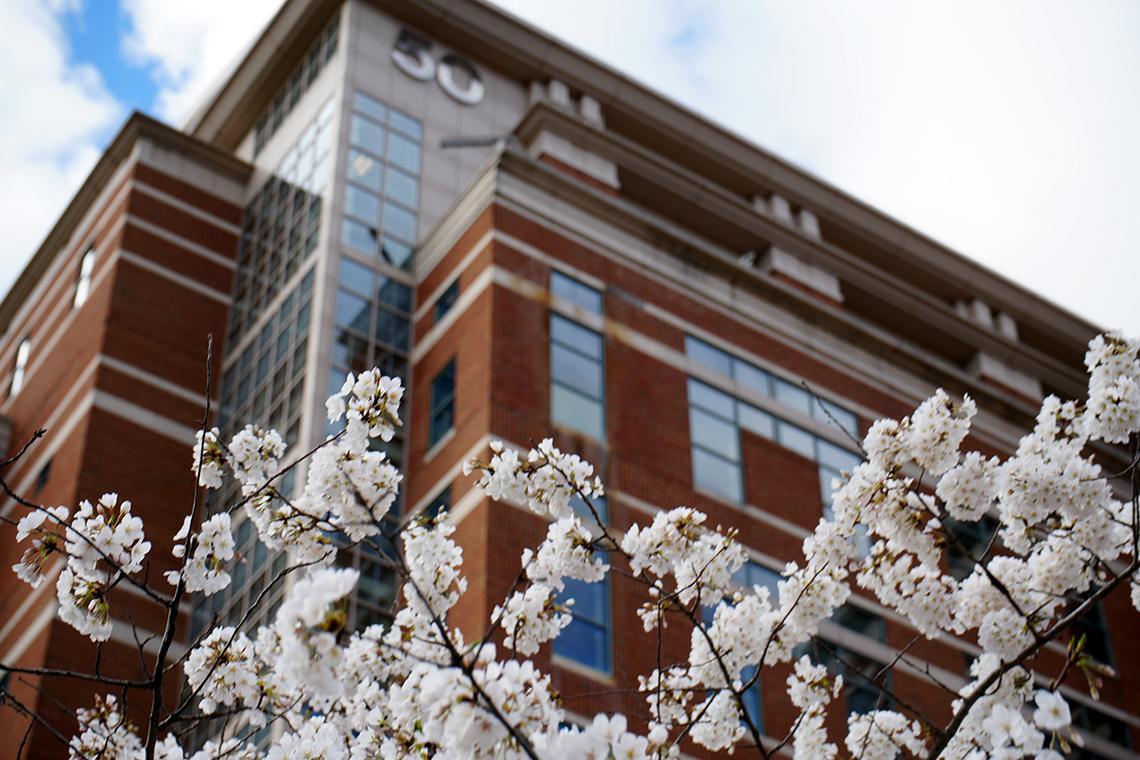 Cherry blossoms in front of the Louis Stokes Laboratories