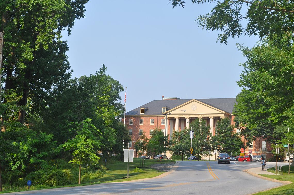 The road leading to Bldg. 1