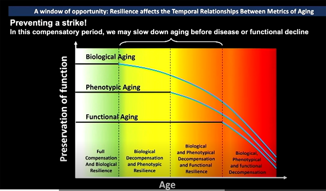 Graph showing the three types of aging and the points when they begin to decrease. The left side is green but flows to yellow, orange, and finally red on the far side.