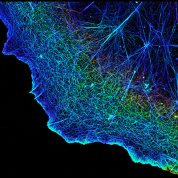 Strings of blue and green, looking like cracked glass