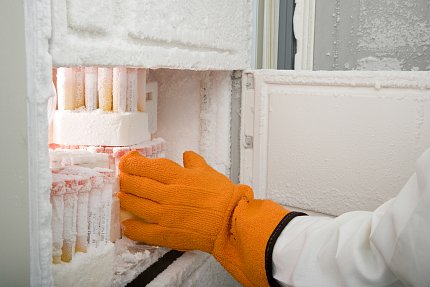 New Energy-Saving Freezer Policy A person wearing orange gloves reaches into a fridge