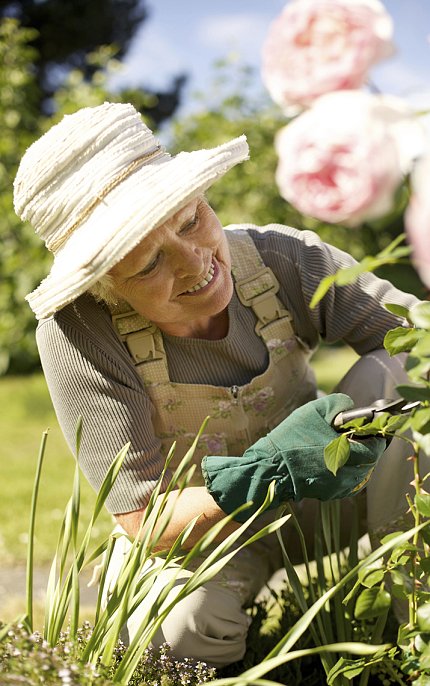 A woman gardening An older woman wearing a hat prunes flower stems in the garden.