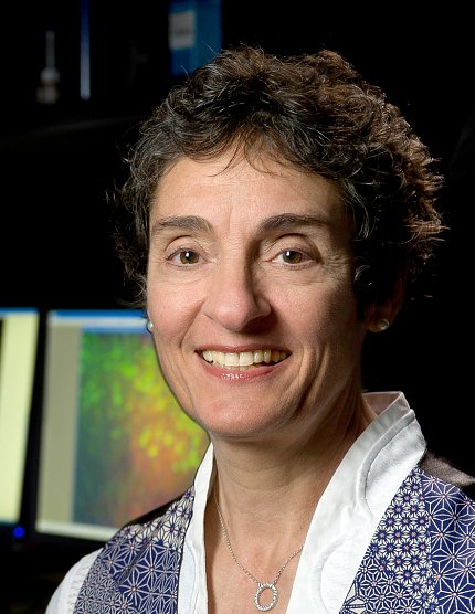 Dr. Carla Shatz Dr. Carla Shatz